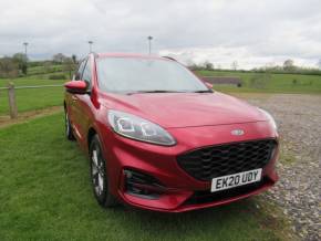 FORD KUGA 2020 (20) at Johnstone's Garage Kirkby Stephen