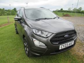 FORD ECOSPORT 2023 (23) at Johnstones Garage Kirkby Stephen