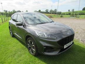 FORD KUGA 2021 (21) at Johnstones Garage Kirkby Stephen