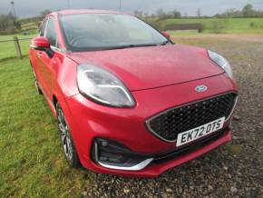 FORD PUMA at Johnstones Garage Ltd Kirkby Stephen