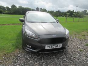 FORD FOCUS at Johnstones Garage Ltd Kirkby Stephen