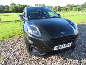 FORD PUMA at Johnstones Garage Ltd Kirkby Stephen