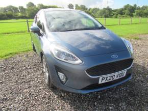 FORD FIESTA at Johnstones Garage Ltd Kirkby Stephen